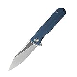 Petrified fish G10 handle D2 steel blade 2CR13 liner ball bearing flipper folding knife camping hunting EDC pocket tool PF818 (Gray, Satin)
