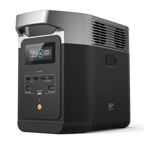 EcoFlow DELTA 2