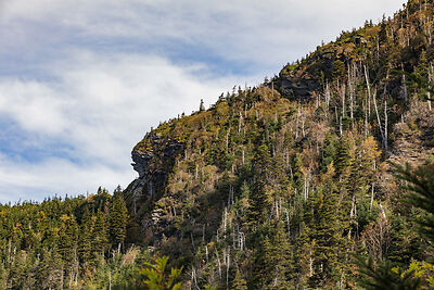 Old Black Mountain
